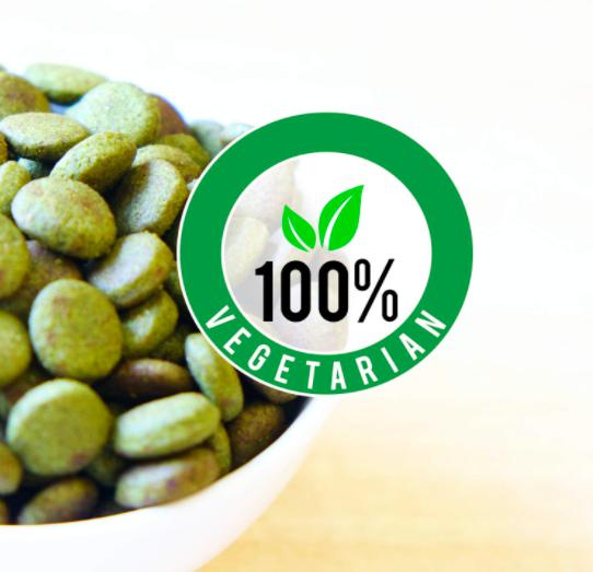 Drools veg cheap dog food