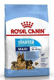 Royal Canin Starter Maxi Dog Dry Food