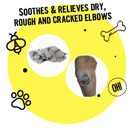 Vivaldis Bark Out Loud Beeswax Paw Butter, 30 G - Main Image