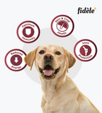 Fidele Light & Senior Adult All Breed Dog Dry Food