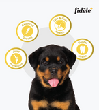 Fidele Puppy Large Breed Dog Dry Food