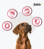 Fidele Puppy Small & Medium Dog Dry Food