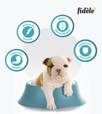Fidele Starter All Breed Dog Dry Food