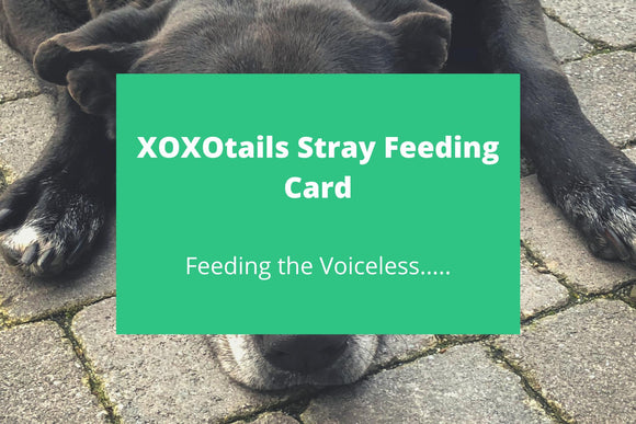 XOXOtails Stray Feeding Card