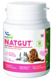 Natural Remedies Natgut Digestive Supplement for Dogs & Cats, 24 Tabs