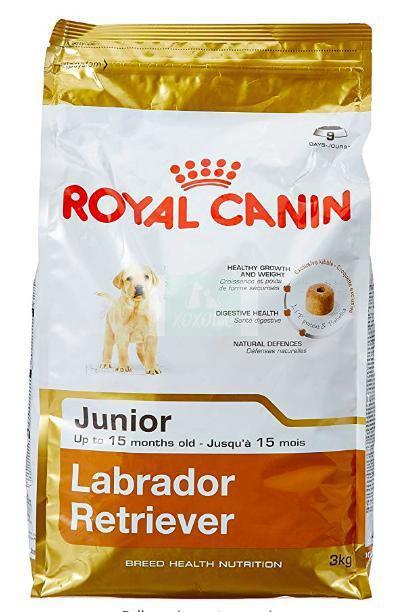 Royal Canin Labrador Junior Dog Dry Food