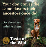 Taste of the Wild Grain-Free Pacific Stream Puppy with Smoked Salmon All Breed Dog Dry Food