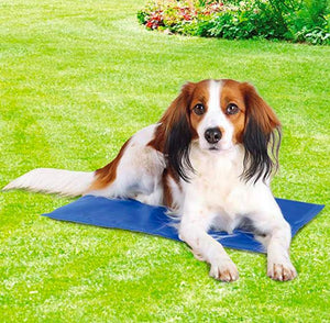 Trixie Cooling Mat for Dogs & Cats