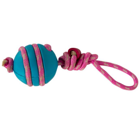 Twister Ball Rope Toy for Dogs