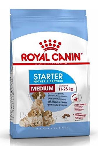 Royal Canin Starter Medium Dog Dry Food