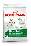 Royal Canin Starter Mini Dog Dry Food